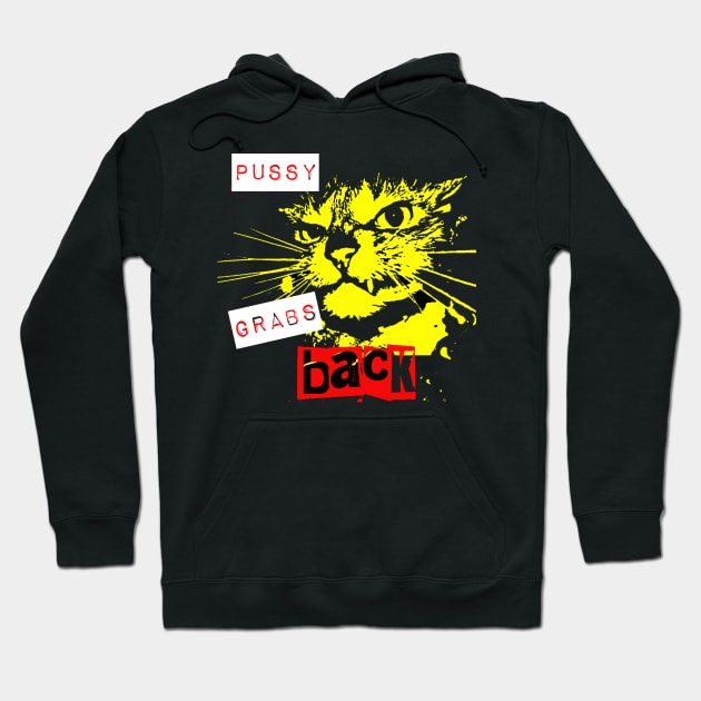 Pussy Grabs Back Hoodie by Tainted